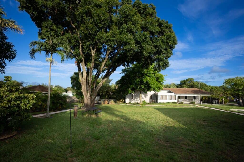 Olympic Behavioral Health