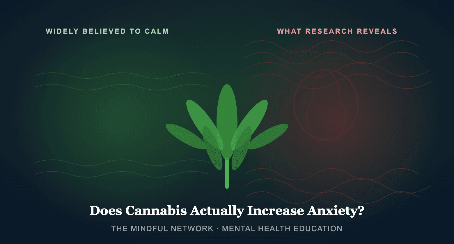 Illustration of a cannabis leaf between calm green and anxious red wave patterns, with the headline: Does cannabis actually increase anxiety?